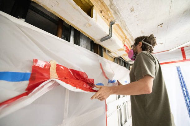 Best Mold Documentation for Insurance Claims  in Moundsville, WV